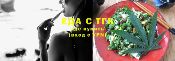 индика Балахна