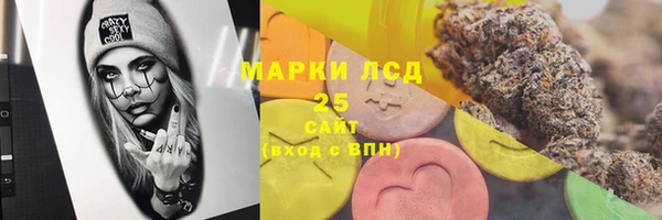 индика Балахна