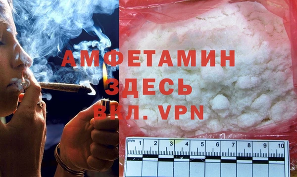 индика Балахна