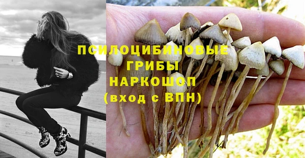 дурь Беломорск