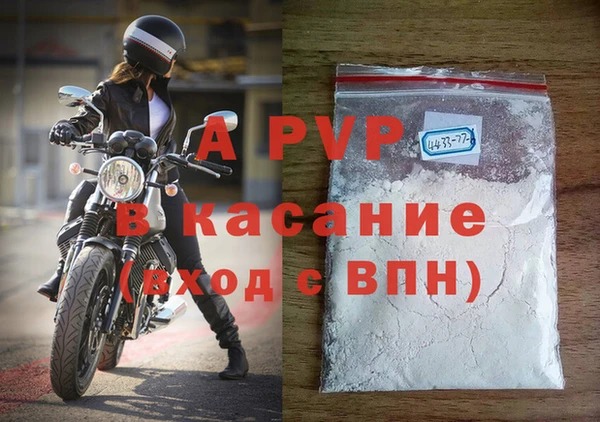индика Балахна